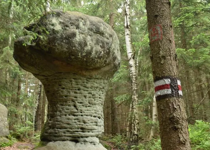 ベッド・アンド・ブレックファスト Villasol 3*